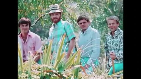 Medley - The Beach Boys II - 1981