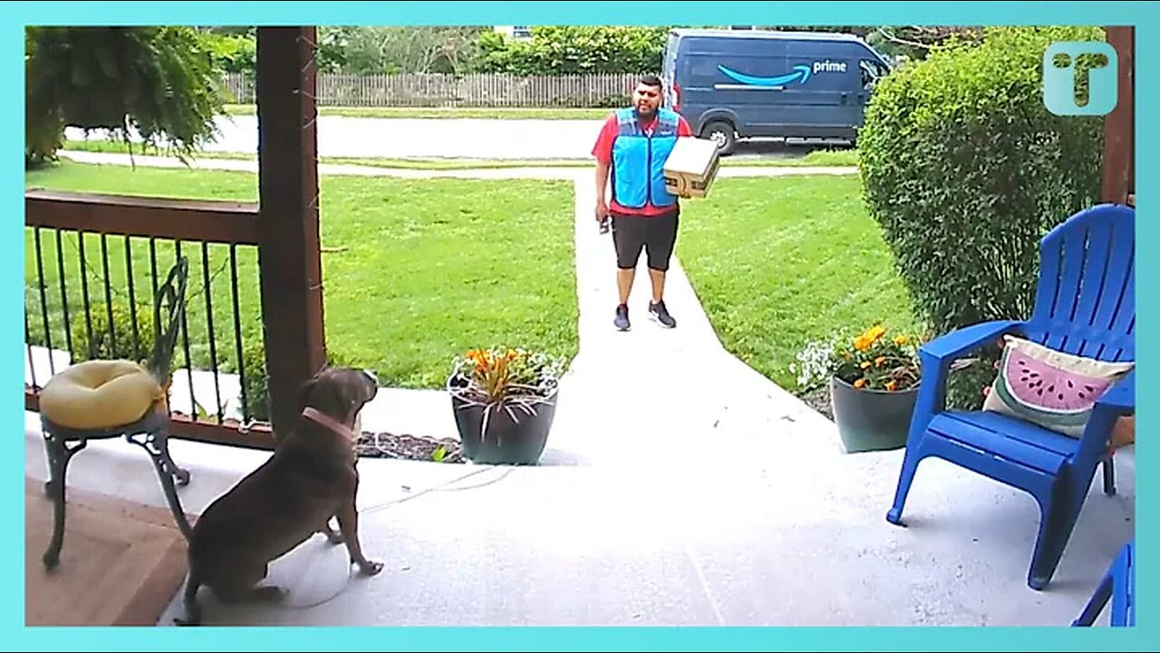 Nervous Amazon Driver Has Wholesome Conversation With Dog