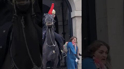 Guard scares tourist shouts get back #horseguardsparade