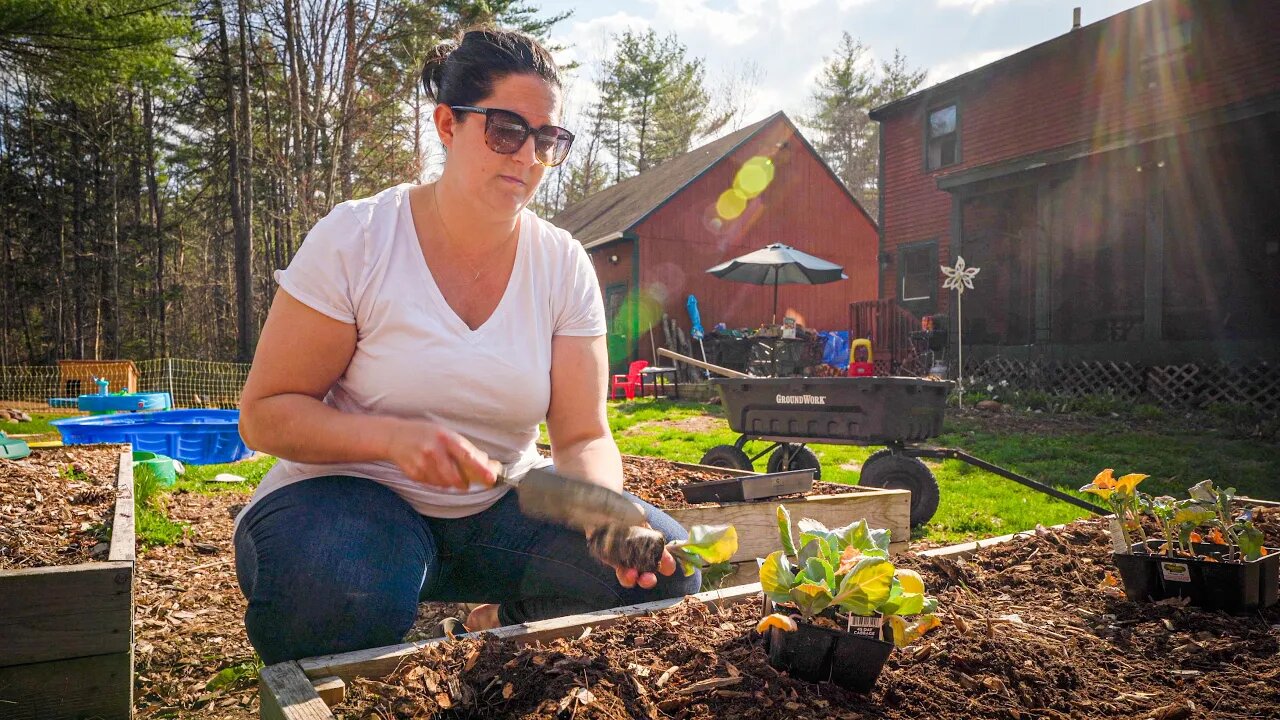 Getting A Raised Bed Ready For Spring Planting!