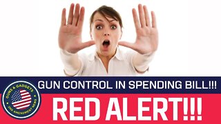 ATTENTION: TONS of Gun Control In Spending Bill!!!