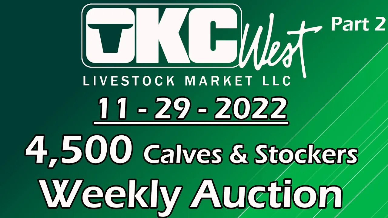 11/29/2022 - OKC West Calf and Stocker Auction Part 2