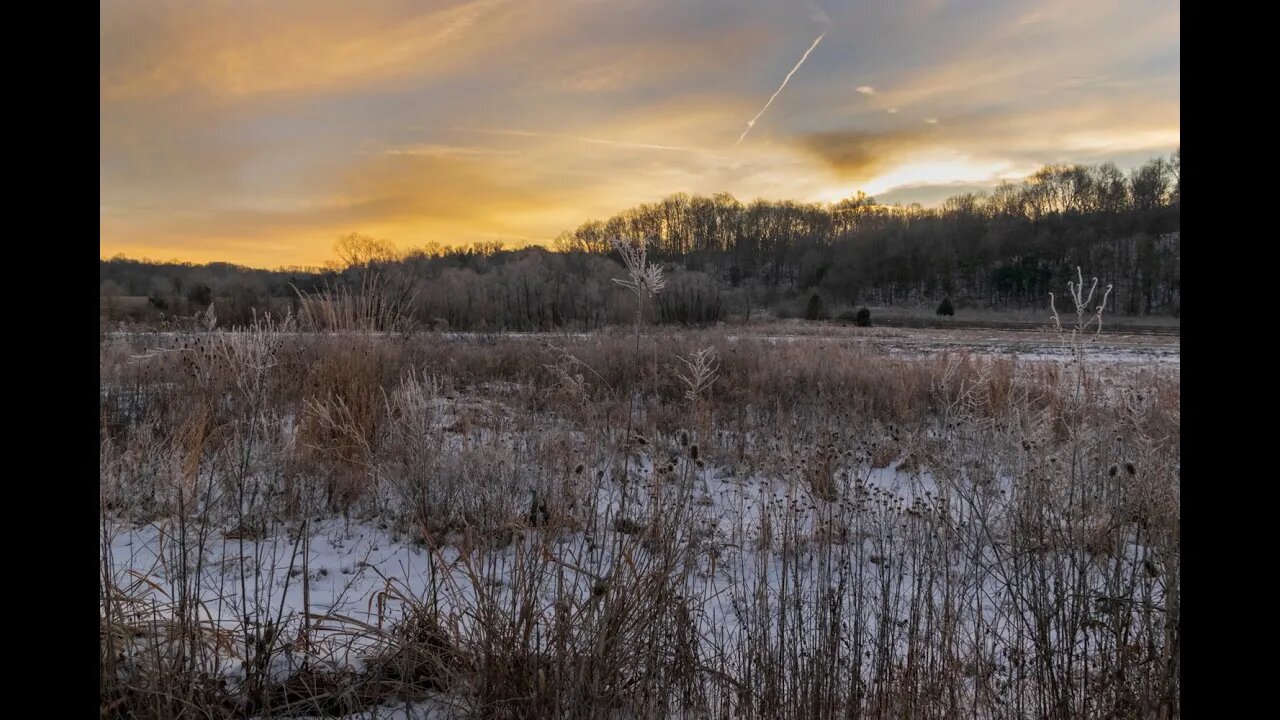 Snowy Winter Scenes with Music for Tranquility, Sleep and Stress Relief