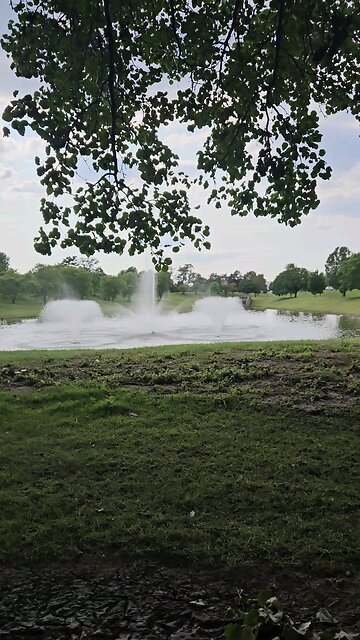 My Peaceful Place - Democracy V. Republic