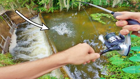 Bass Fishing in a Stormwater Canal!!!