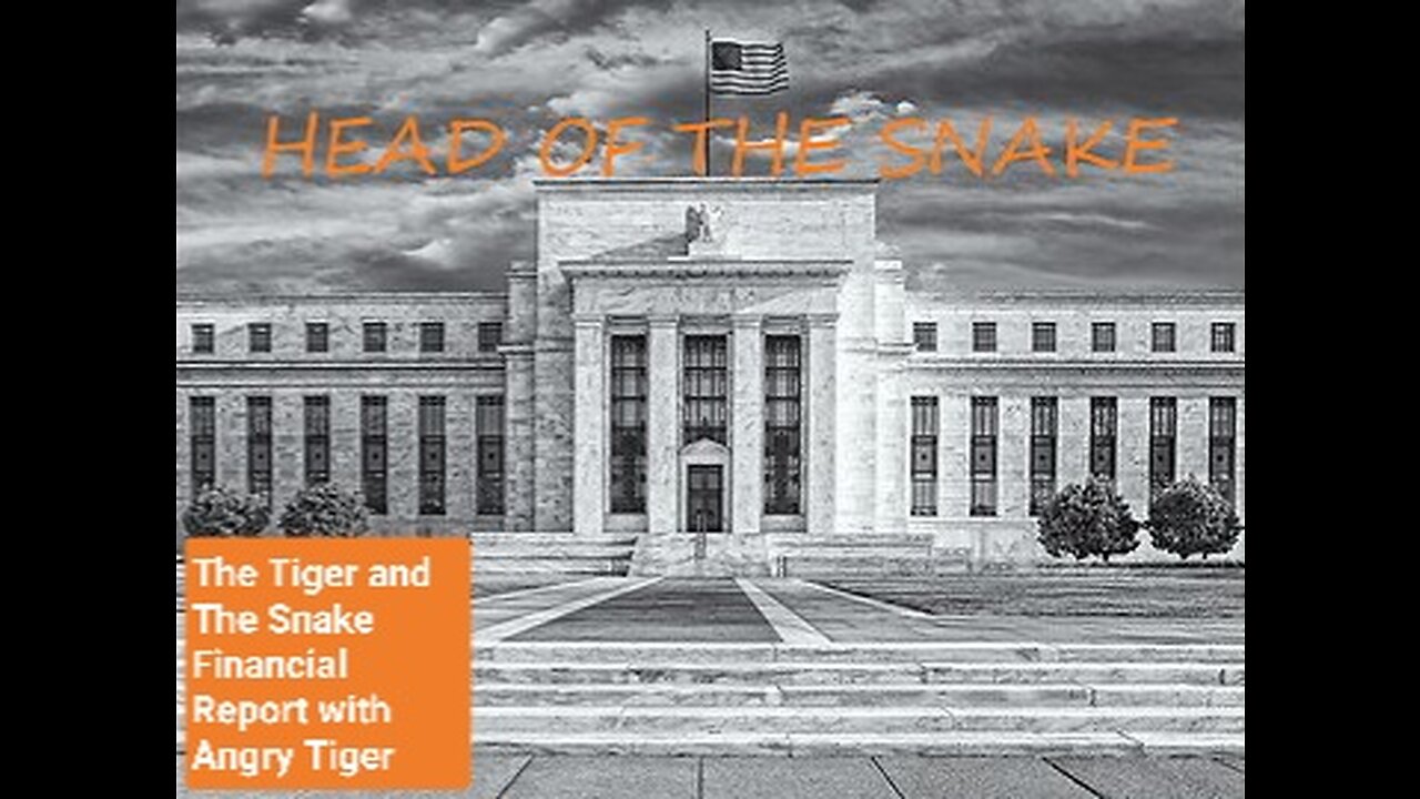 The Tiger and the Snake Financial Report 08/18/2023