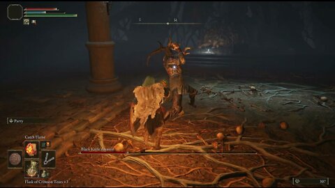 Black Knife Assassin vs Arcane Cleric Mage Elden Ring Boss Fight