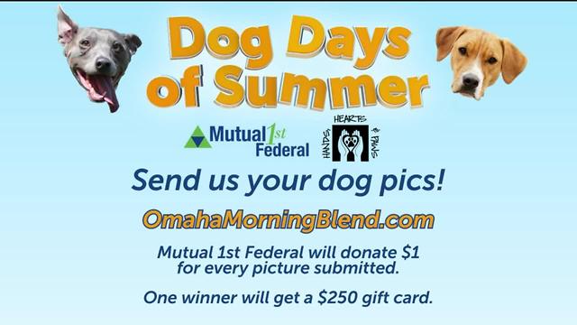 Dog Days of Summer Contest