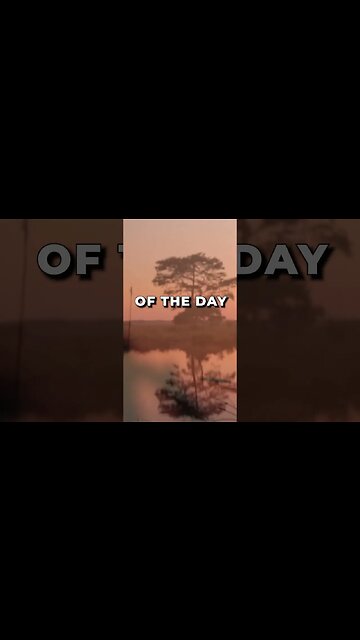 Listen to full meditations at Women's meditation network channel #meditation #sleep #shorts