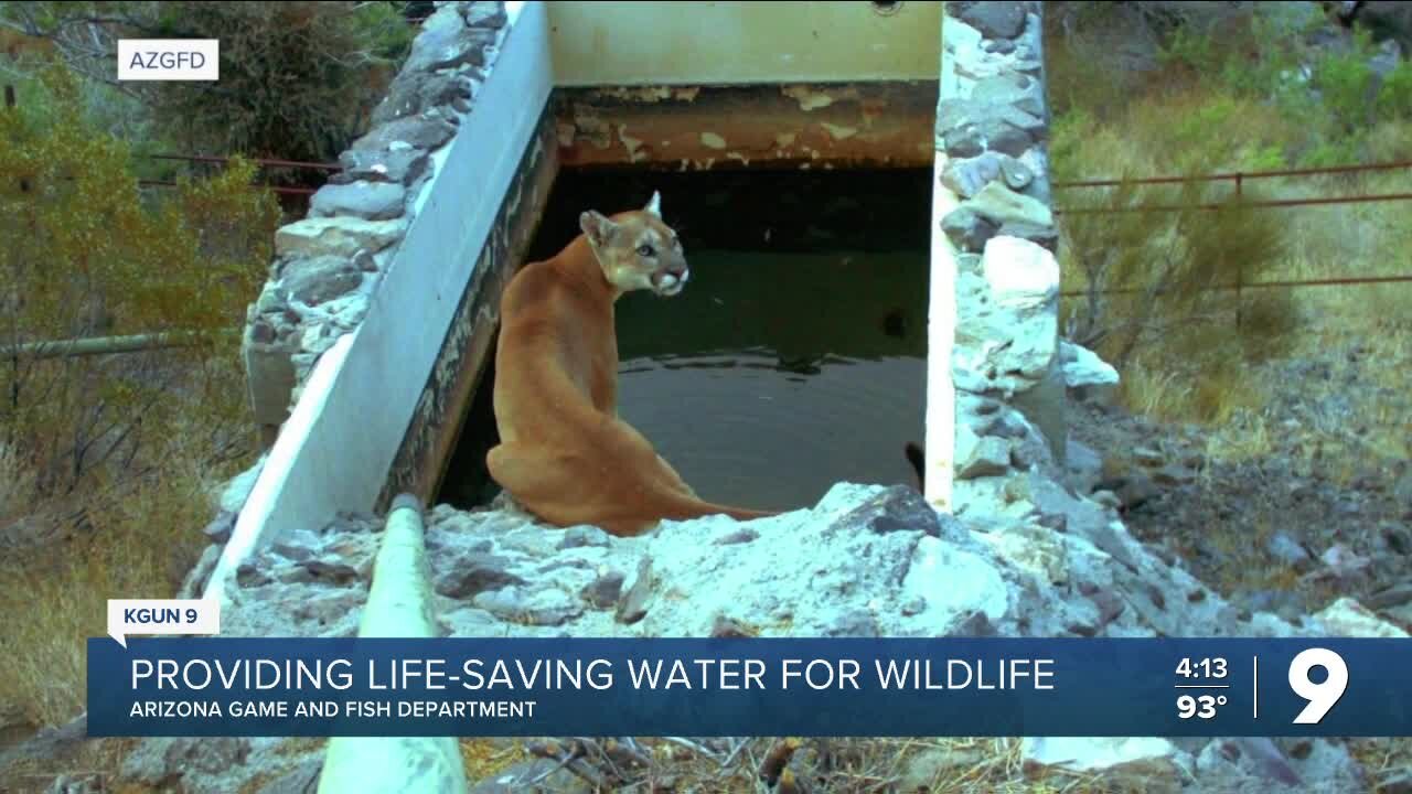 The task of providing drinking water for Arizona wildlife