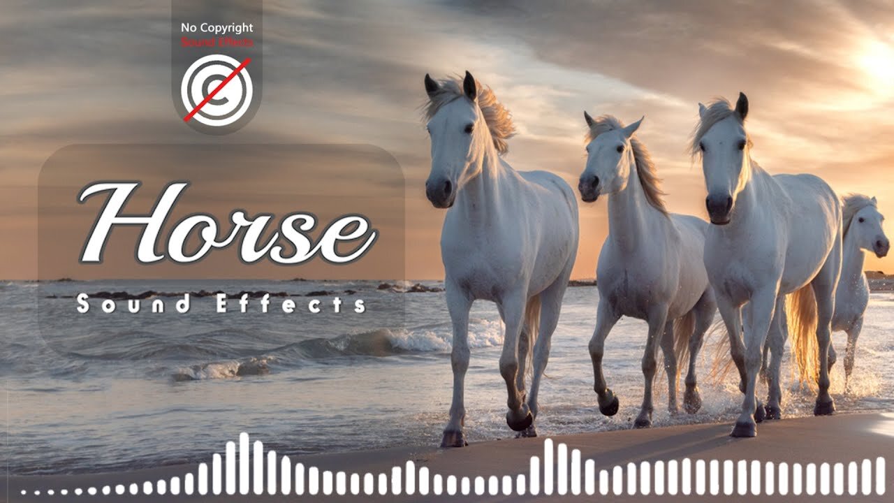 Horse sound effect