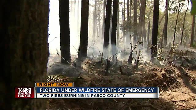 Two brush fires in Pasco continue to smolder