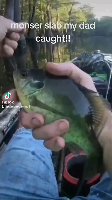 i got 73.7k views on tiktok on this vid make it happen here!