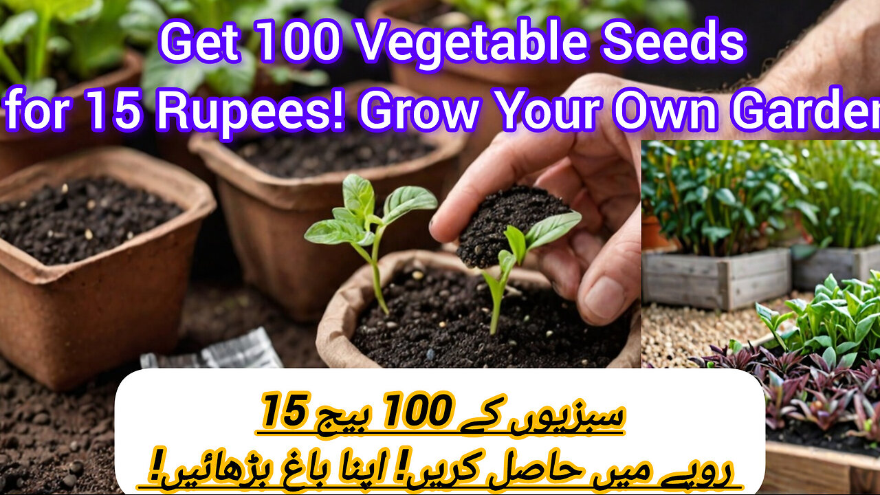 Get 100 Vegetable Seeds for 15 Rupees! Grow Your Own Garden!