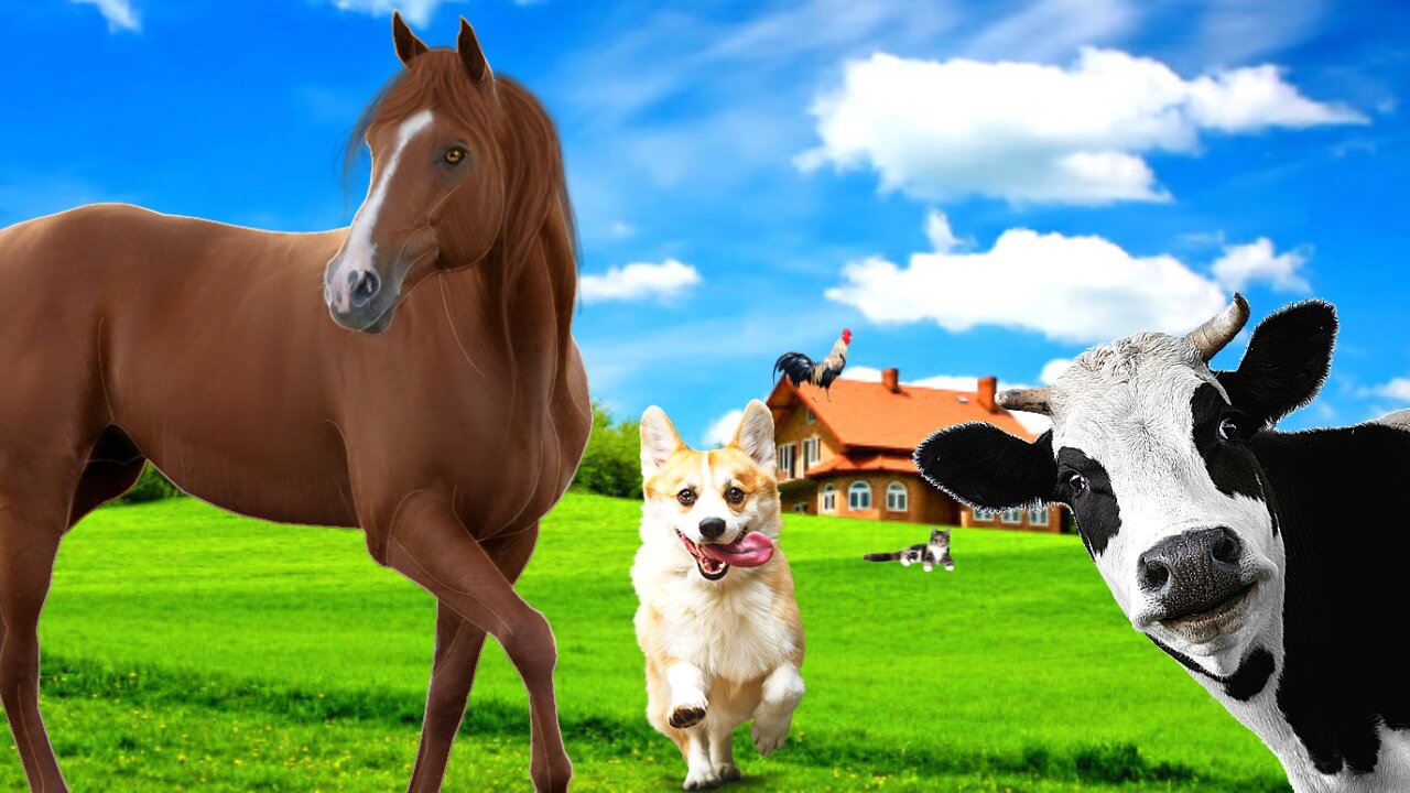 Sound of farm animals, Cow, Horse, Sheep, Chicken, Pets