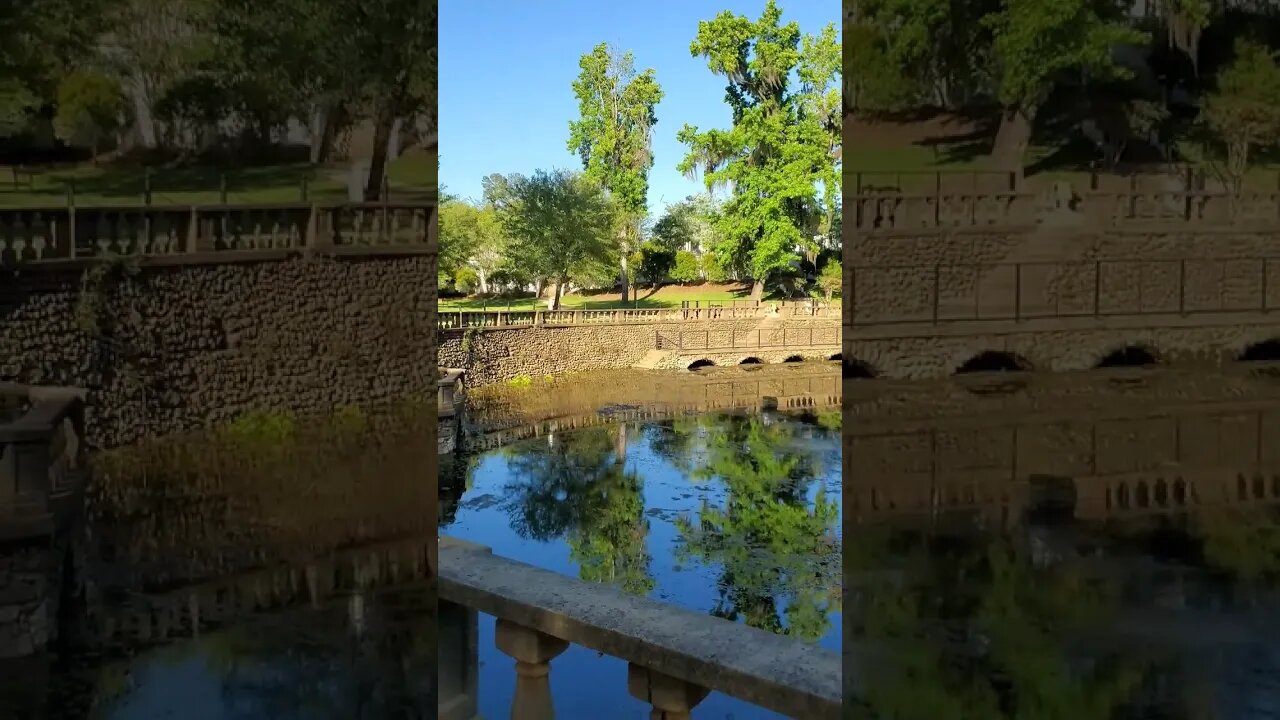 Radium Springs in The Golden Hour 07 #shorts