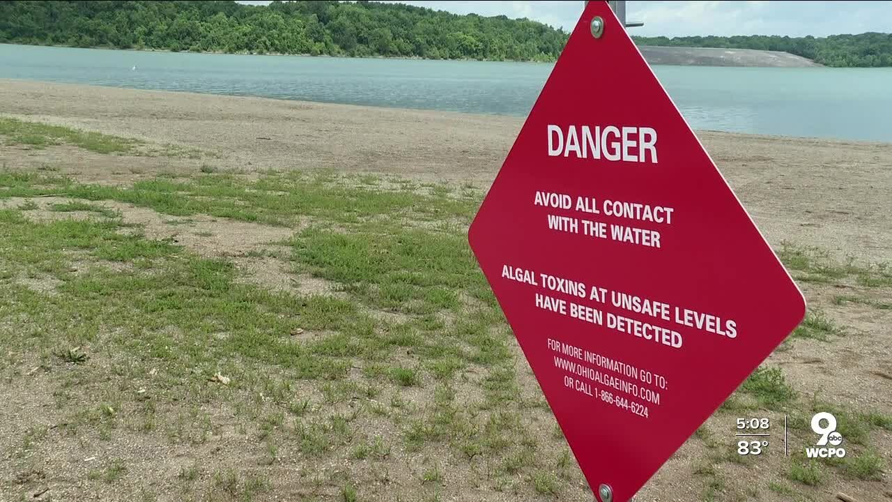 Don't swim in Harsha Lake at East Fork State Park — seriously