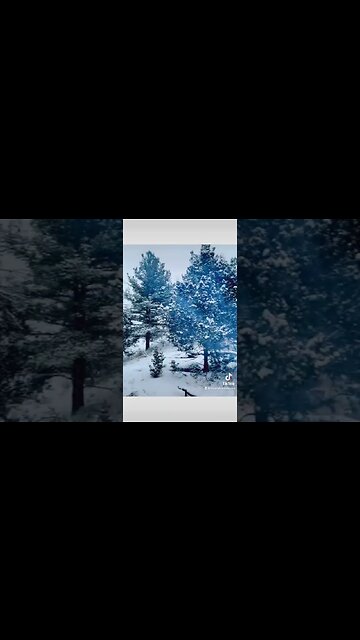 Got to camp in snow this week up in in Wyoming #shorts #naturemakesmesmile