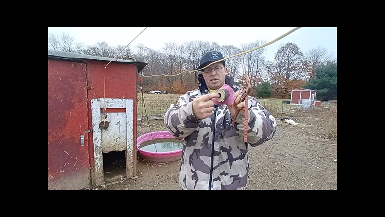 Water for Chickens in the Freezing Winter