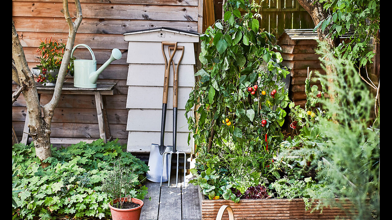 CA Shutting Off Water To Farmers*Biden-Inflation & Food Woes To Continue*Med Herbs & Edible Flowers