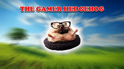 The gamer hedgehog!