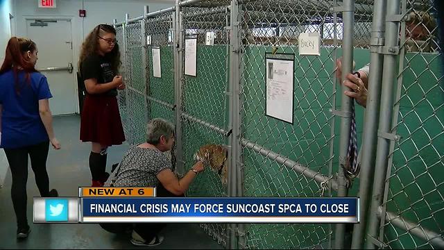 Suncoast SPCA to close