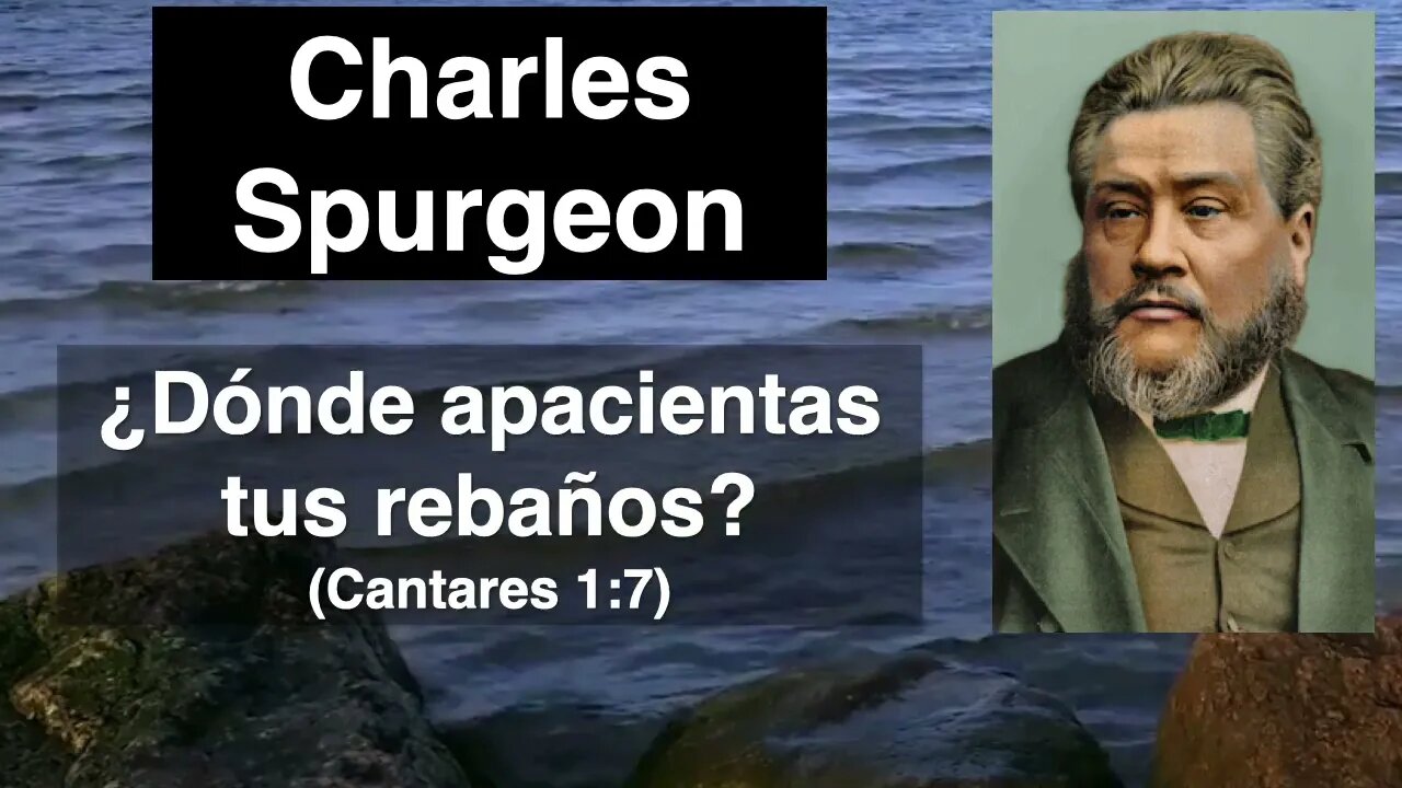 ¿Dónde apacientas tus rebaños? (Cantares 1,7) Devocional de hoy Charles Spurgeon