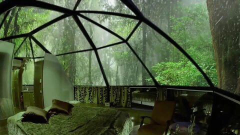 Cozy Bedroom in Enchanted Forest with Relaxing Rain Sounds - Sleep, Study & Relaxation
