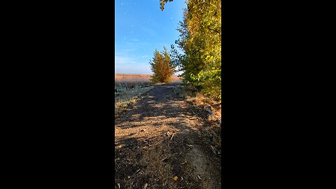 How to enjoy the colors of fall in bittern marshtrail