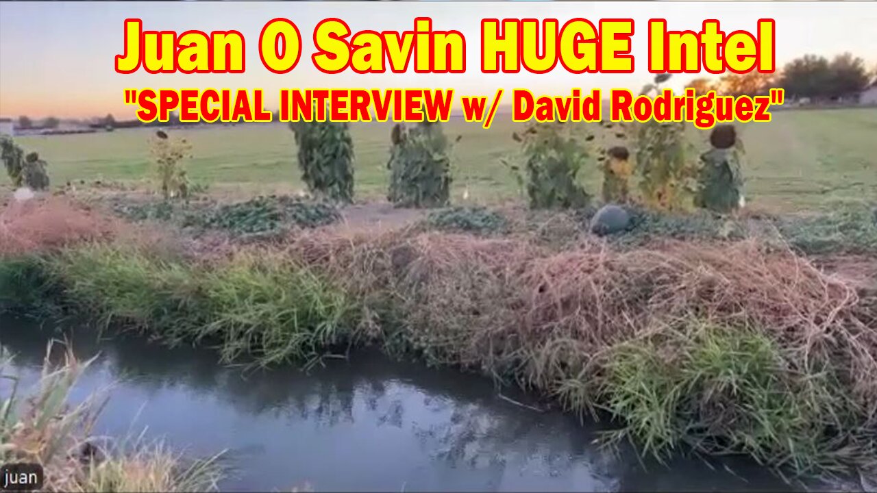 Juan O Savin HUGE Intel 10/2/24: "SPECIAL INTERVIEW w/ David Rodriguez"