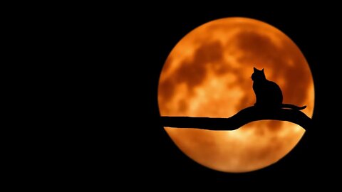 #Midnight #Music Collection of Tracks