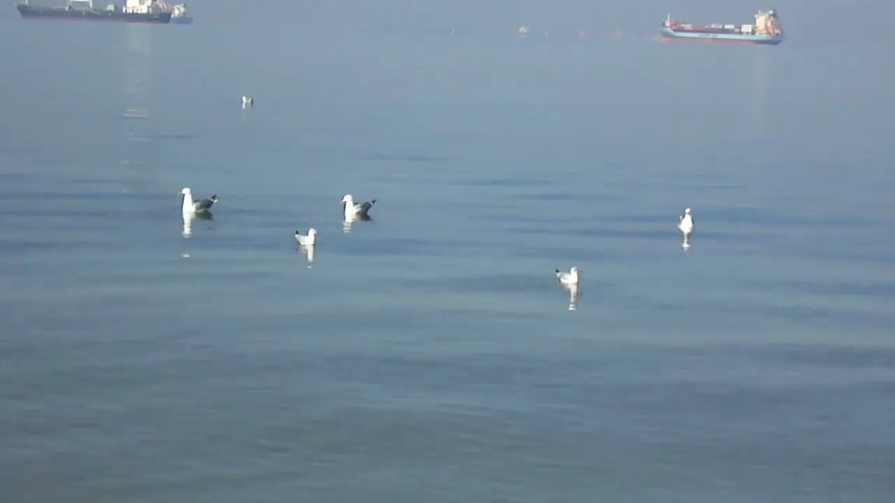 Christmas on the coast of Deauville, Thermaikos, Thessaloniki.