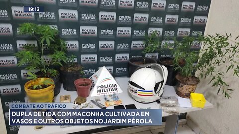 Combate ao Tráfico: Dupla detida com Maconha cultivada em vasos e Outros Objetos no Jardim Pérola.