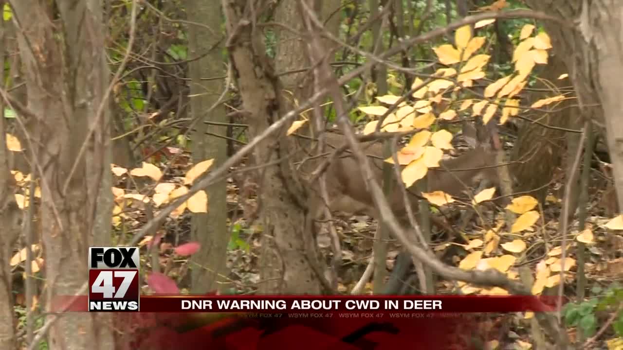 DNR warns hunters about Chronic Wasting Disease found in deer