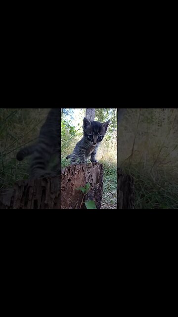 Look Me In the Eyes Human