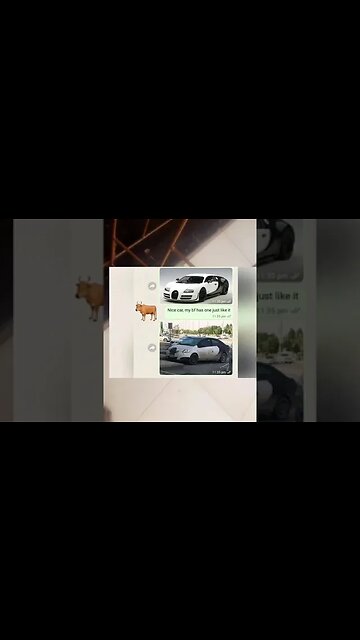 FUNNY MESSAGE REPLY MEME 10 | RANDOM ROADHOUSE