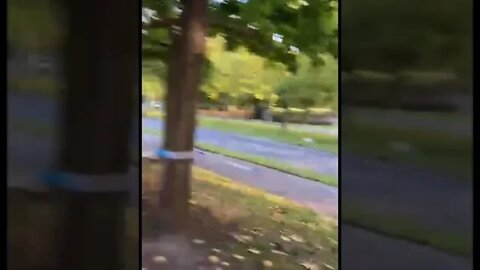 CAR CRASH SCENE