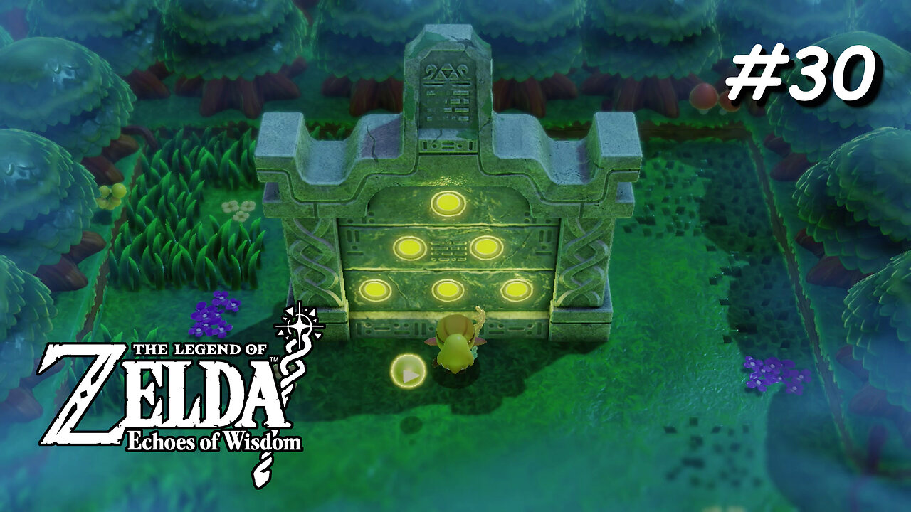 ZELDA - Echoes of Wisdom #30