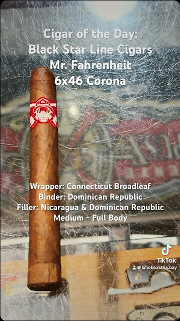Black Star Line Cigars Mr. Fahrenheit 6x46 Corona #Shorts #Short #CigarOfTheDay #CigarReview