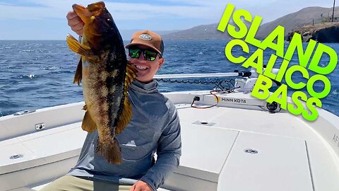 EPIC calico bite!! | SAN CLEMENTE ISLAND Fishing | Capt. Benny Florentino & Matt Florentino