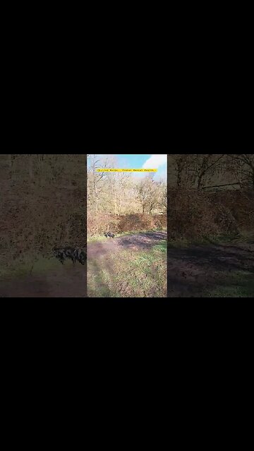 Look After Yourself...