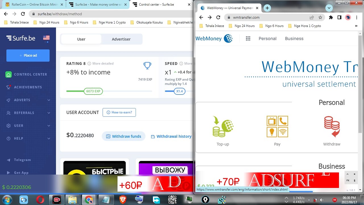 How To Make Free Money By Viewing Adverts At Surfe.be And Withdraw At WebMoney Instantly