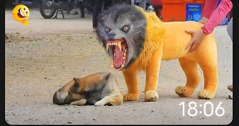 🤣🤣Troll Prank 🐕 🤣 _ fake 🦁 and Fake 🐅 Prank To dog _ Huge 🎁 Prank to 🐶🤣🤣