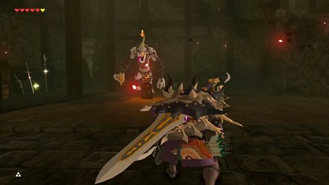 Breath of the Wild Master Mode 41