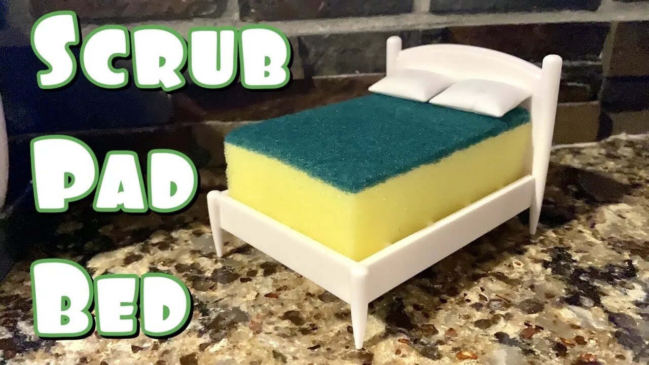 Adorable Kitchen Scrub Brush Bed Review