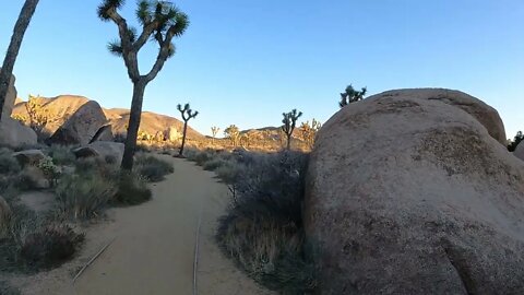 Joshua Tree National Park(1)