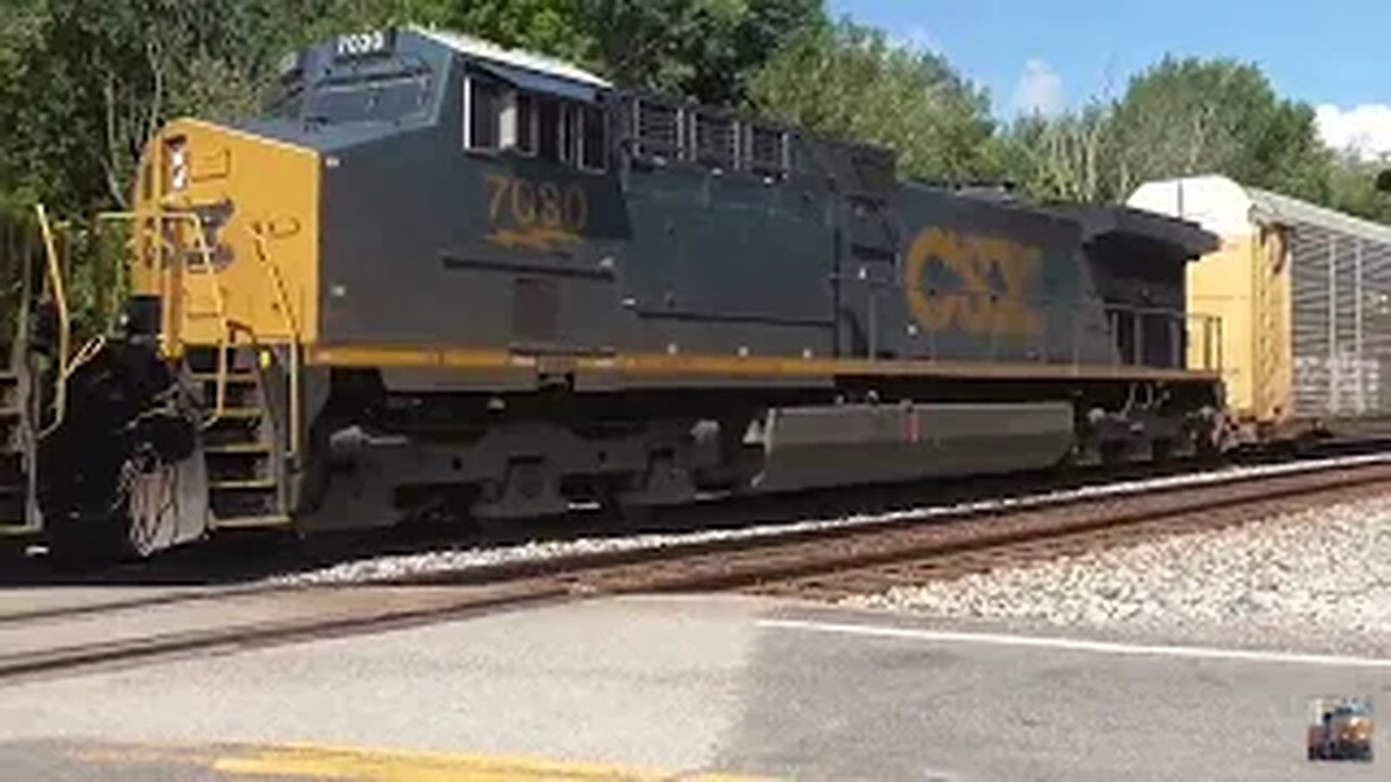 Wheeling & Lake Erie and CSX Trains from Westfield Rd. Creston, Ohio July 7, 2024 Part 1
