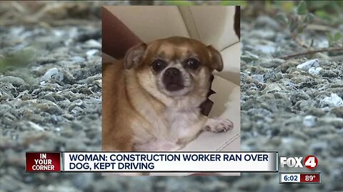 Woman says driver ran over dog, kept going