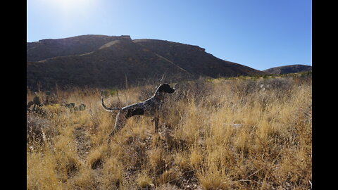 Lincoln National Forest New Mexico, 6 mile Solo(ish) Hike Sitting Bull Falls Trail T68