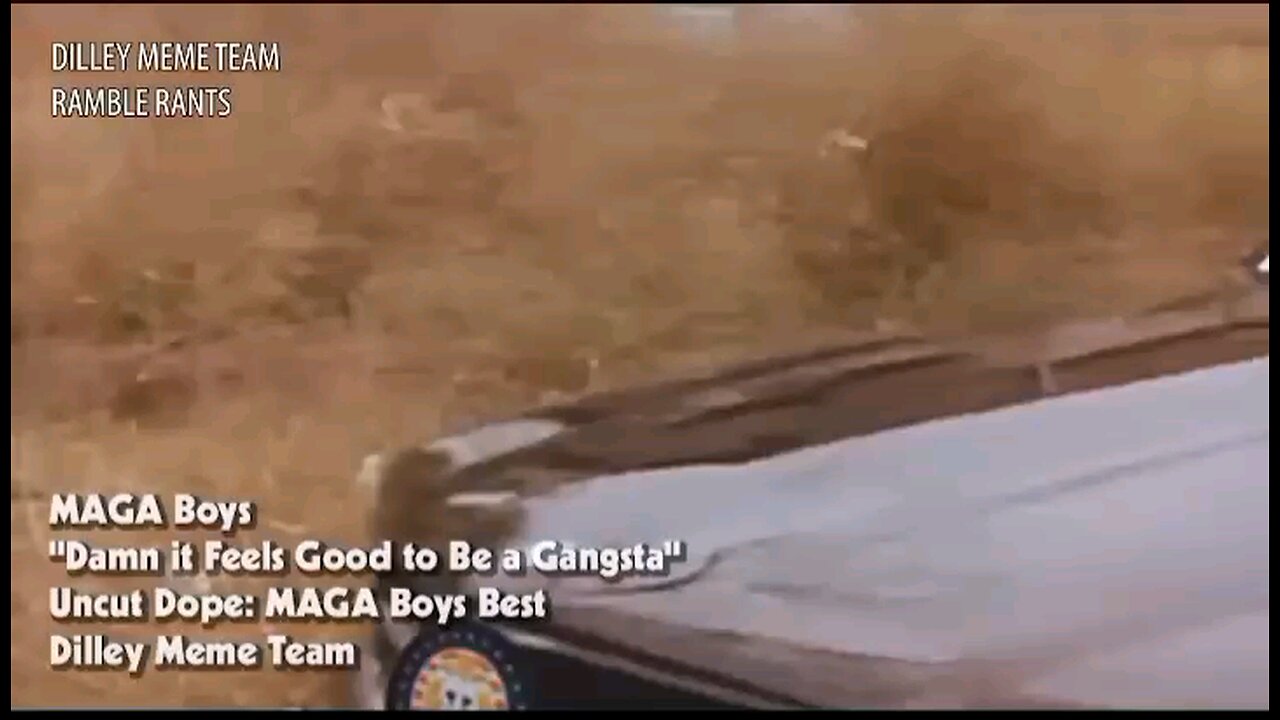 Damn it feels good to be a gangsta